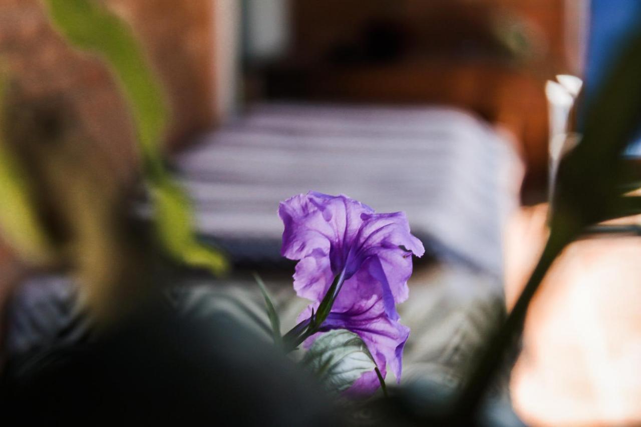 Casa Ka'A Hostel อูบาตูบา ภายนอก รูปภาพ